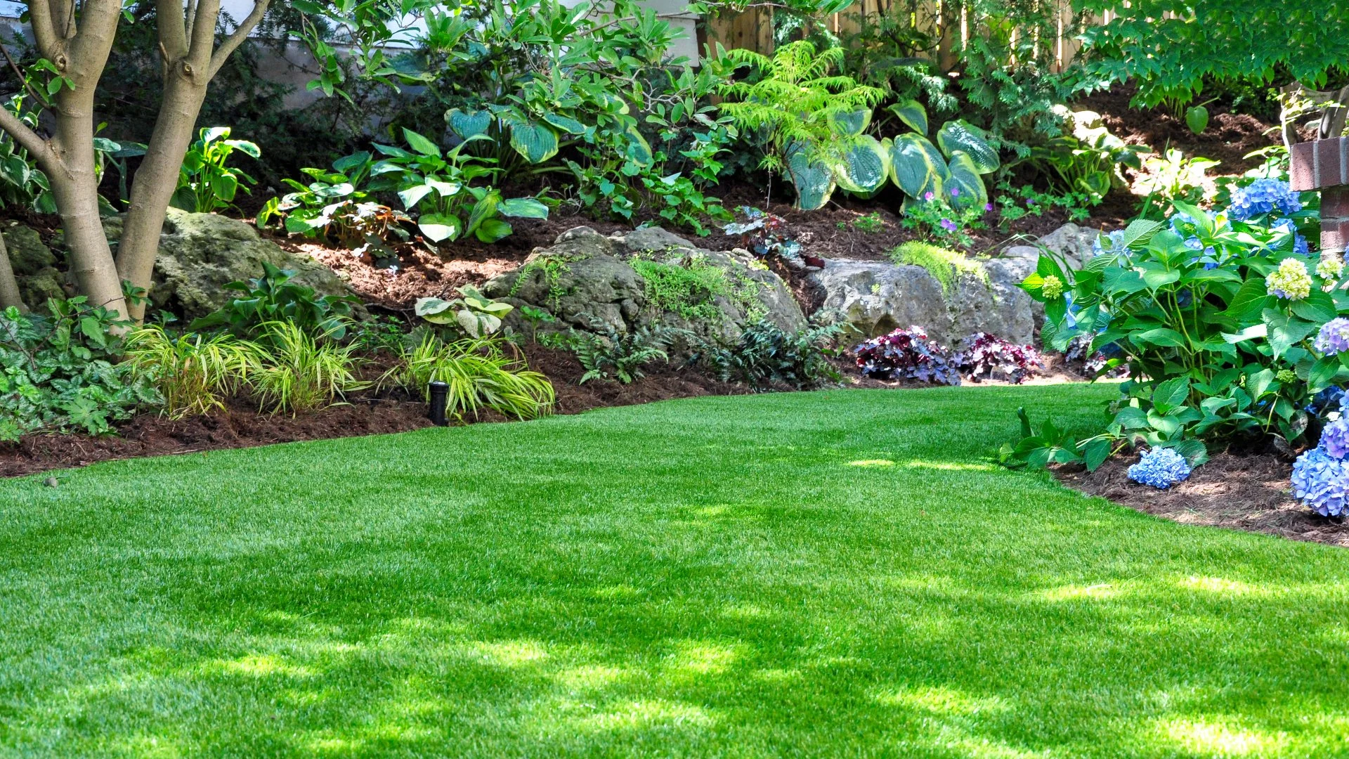Photo of plants and trees at a nursery in Ann Arbor, MI.