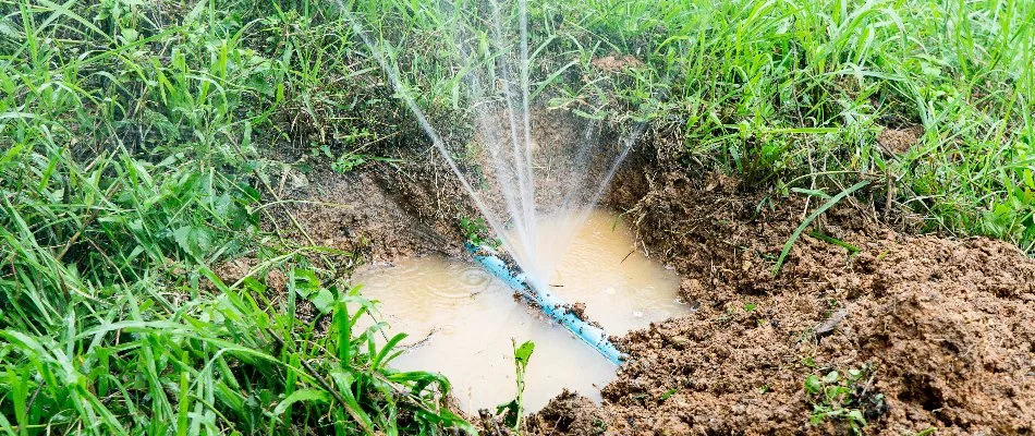 Broken irrigation line with a leak in Ann Arbor, MI.