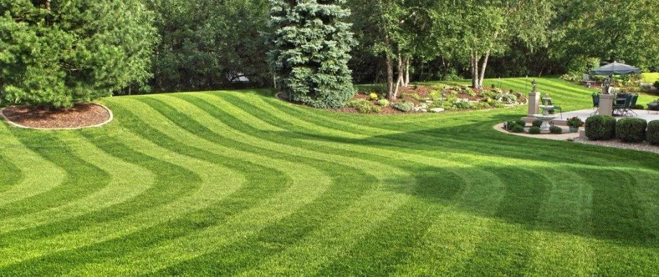 Lawn in Ann Arbor, MI, with mowing stripes.