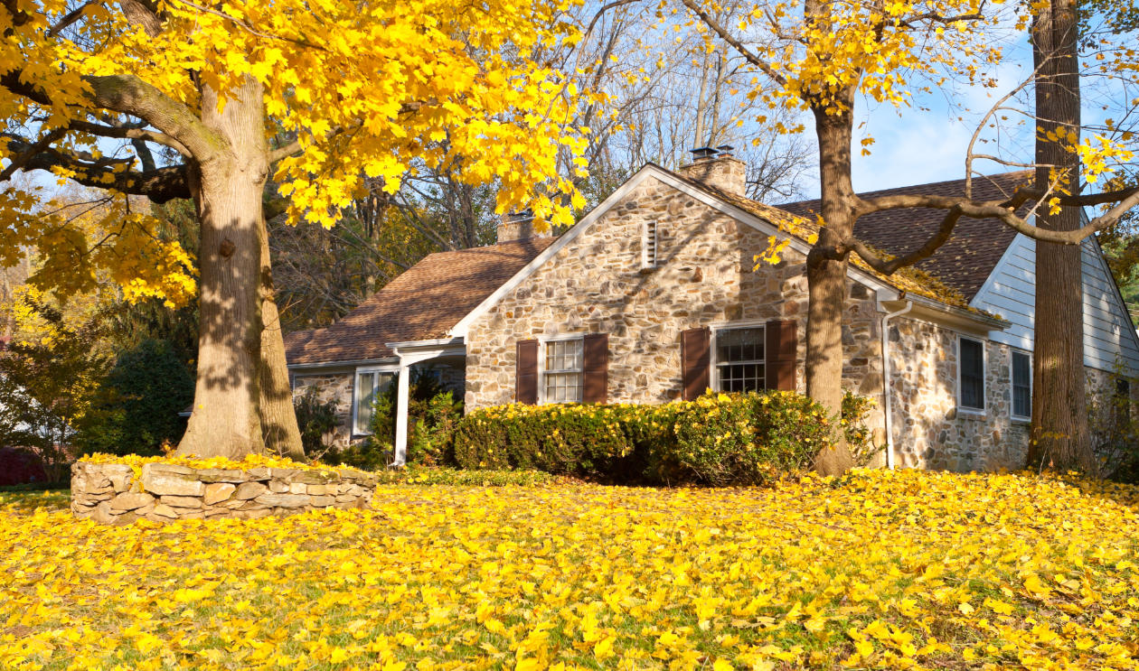 Fall Leaf Removal Lawn Care Plan