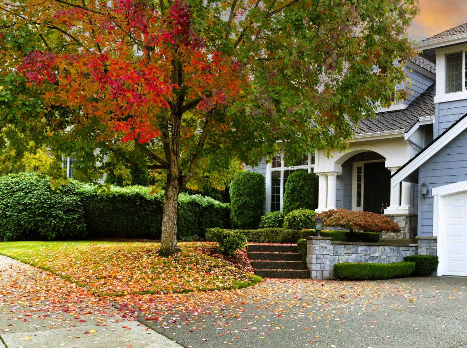 Ann Arbor Fall Leaf Cleanup